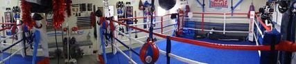 private Boxing ring mma gym gold coast