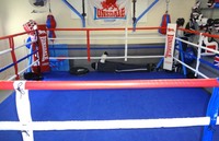 Boxing ring & mma gym gold coast7